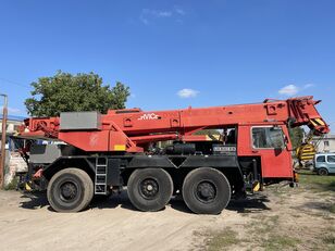 LIEBHERR LTM 1035 grúa móvil