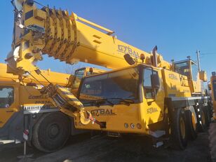 LIEBHERR LTM1070-4.1 grúa móvil